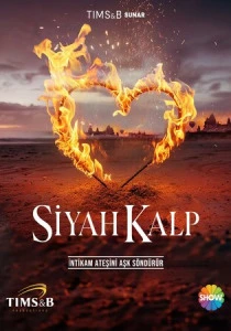 Чёрное сердце (2024) смотреть онлайн